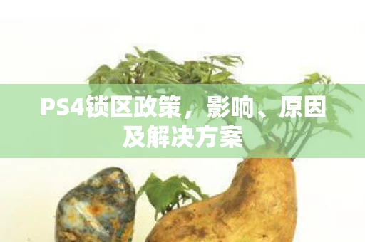 PS4锁区政策图片