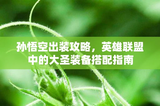 英雄联盟中的大圣装备搭配指南图片