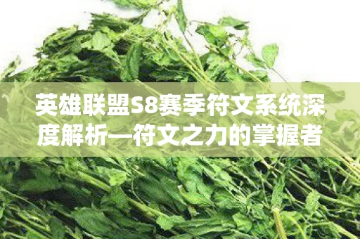 英雄联盟S8赛季符文系统深度解析图片