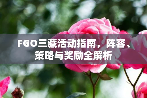 FGO三藏活动指南图片