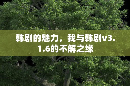 我与韩剧v3图片