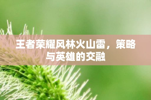 王者荣耀风林火山雷图片