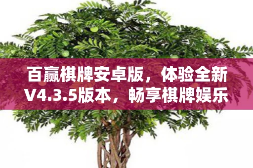 畅享棋牌娱乐时光图片