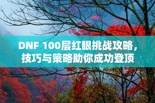 DNF 100层红眼挑战攻略图片