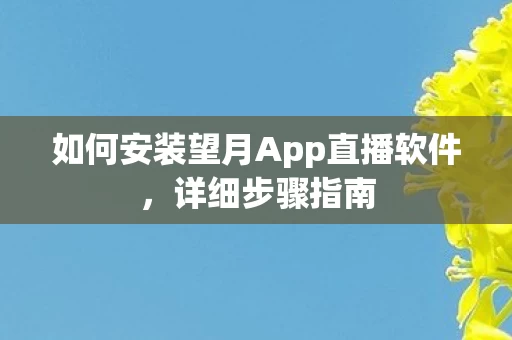 如何安装望月App直播软件图片