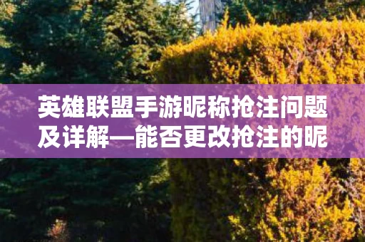 英雄联盟手游昵称抢注问题及详解图片