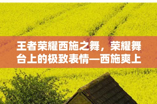 荣耀舞台上的极致表情图片