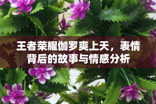 表情背后的故事与情感分析图片