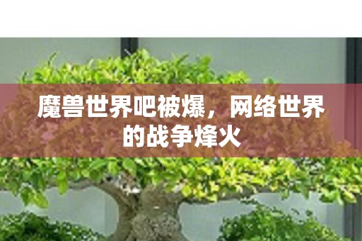 网络世界的战争烽火图片