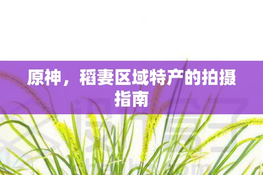 稻妻区域特产的拍摄指南图片