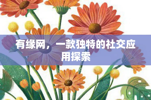 一款独特的社交应用探索图片
