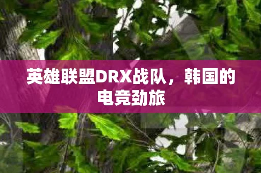 英雄联盟DRX战队图片