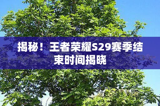 王者荣耀S29赛季结束时间揭晓图片