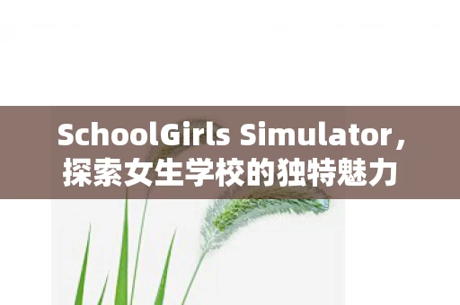 SchoolGirls Simulator图片