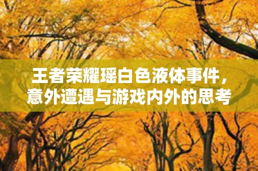 意外遭遇与游戏内外的思考图片