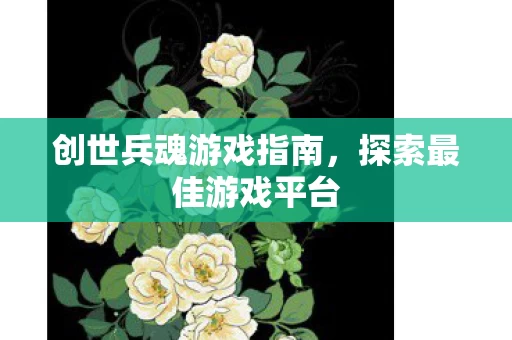 创世兵魂游戏指南图片