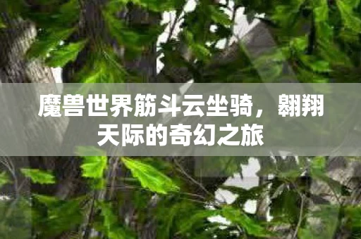 魔兽世界筋斗云坐骑图片