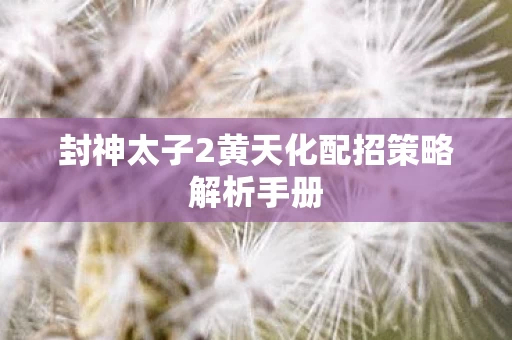 封神太子2黄天化配招策略解析手册图片