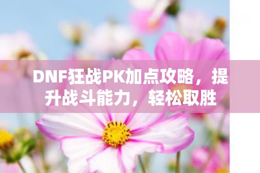 DNF狂战PK加点攻略图片