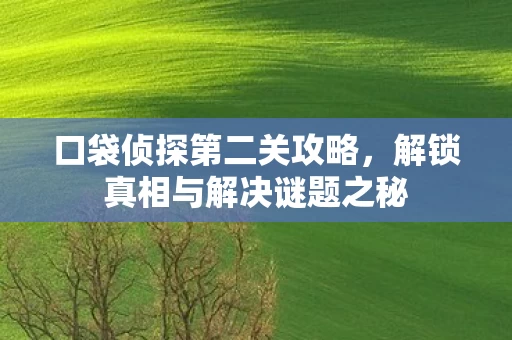 解锁真相与解决谜题之秘图片