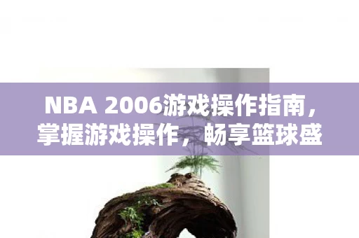 NBA 2006游戏操作指南图片