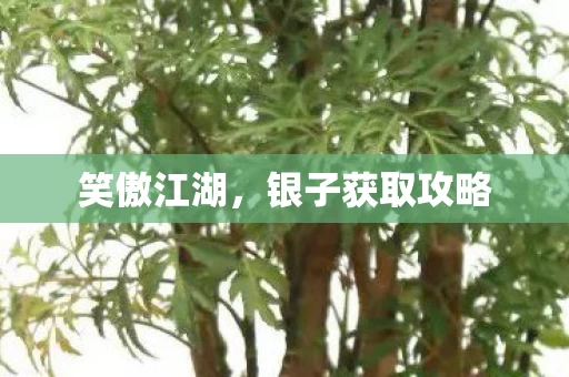银子获取攻略图片