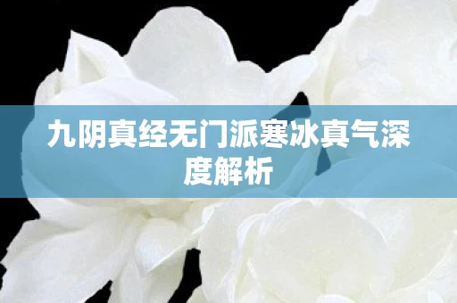 九阴真经无门派寒冰真气深度解析图片