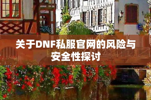 关于DNF私服官网的风险与安全性探讨图片