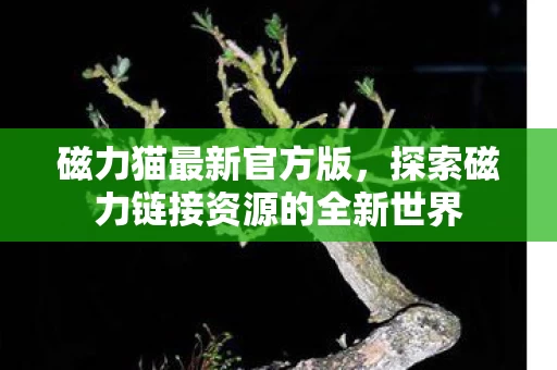 探索磁力链接资源的全新世界图片
