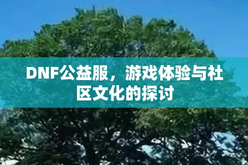 游戏体验与社区文化的探讨图片