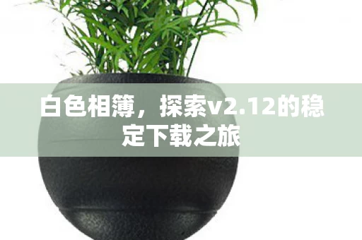 12的稳定下载之旅图片