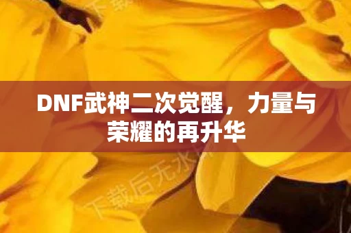 DNF武神二次觉醒图片
