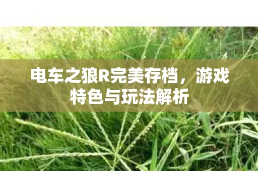 电车之狼R完美存档图片