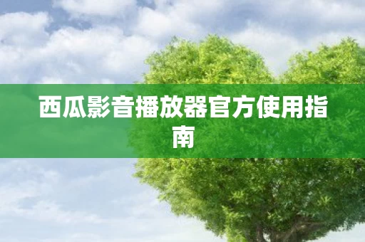 西瓜影音播放器官方使用指南图片