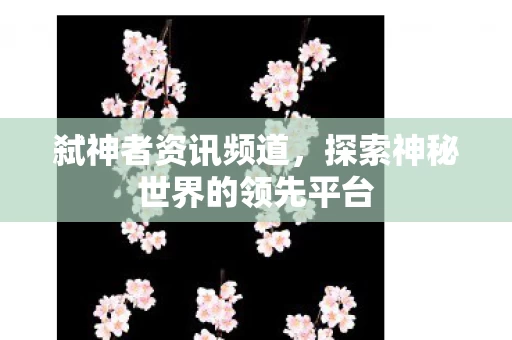 探索神秘世界的领先平台图片