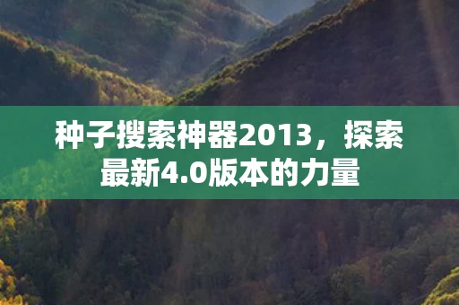 种子搜索神器2013图片