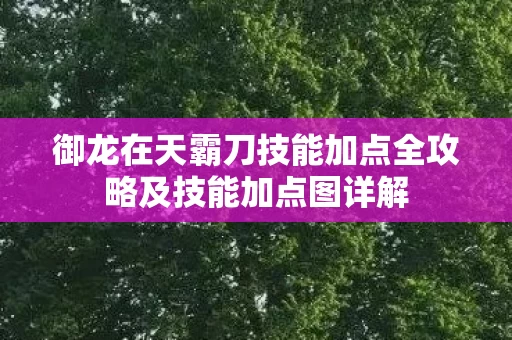 御龙在天霸刀技能加点全攻略及技能加点图详解图片