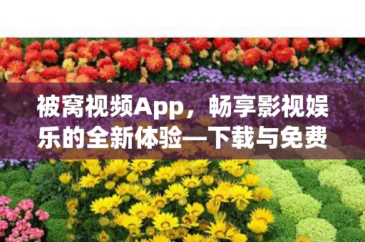 畅享影视娱乐的全新体验图片