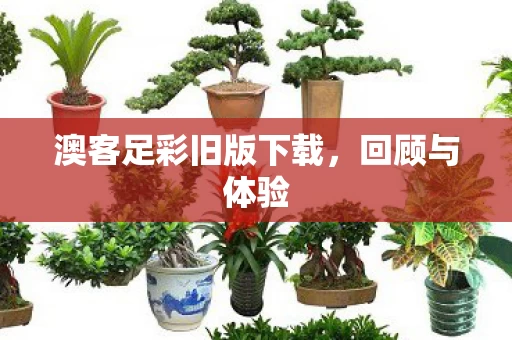 澳客足彩旧版下载图片