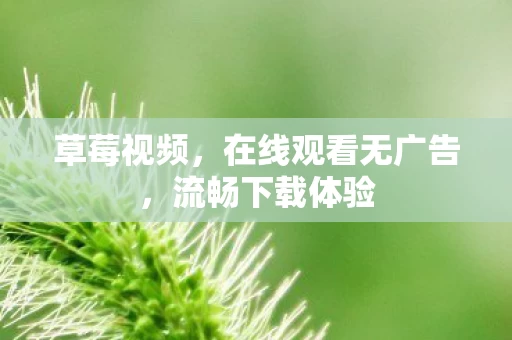 在线观看无广告图片