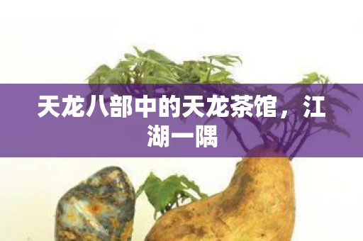 天龙八部中的天龙茶馆图片