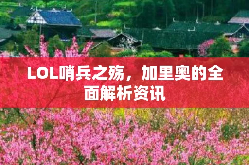 加里奥的全面解析资讯图片