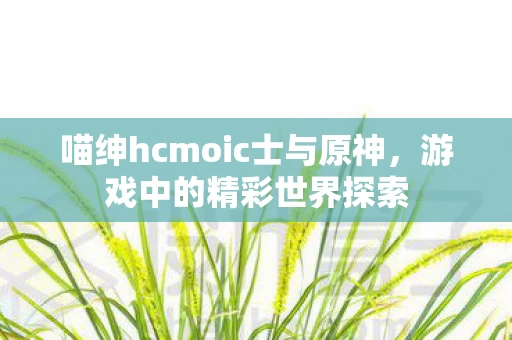 喵绅hcmoic士与原神图片