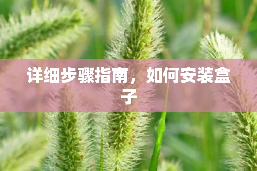 详细步骤指南图片