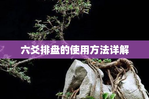 六爻排盘的使用方法详解图片