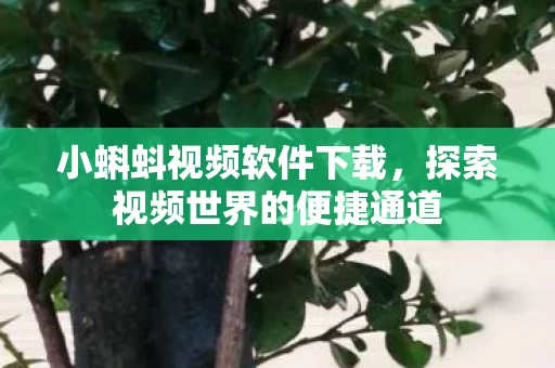 探索视频世界的便捷通道图片