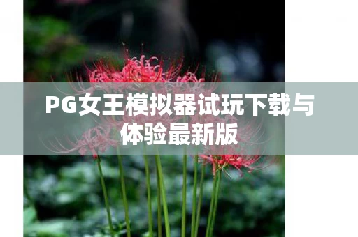 PG女王模拟器试玩下载与体验最新版图片