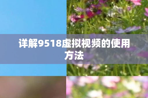 详解9518虚拟视频的使用方法图片