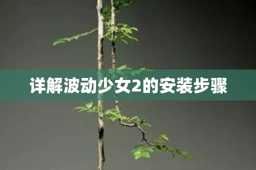 详解波动少女2的安装步骤图片