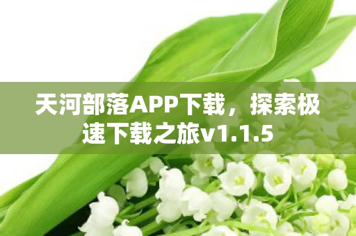 探索极速下载之旅v1图片